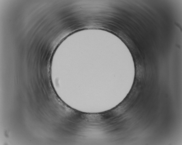 X0000103470856200809261902