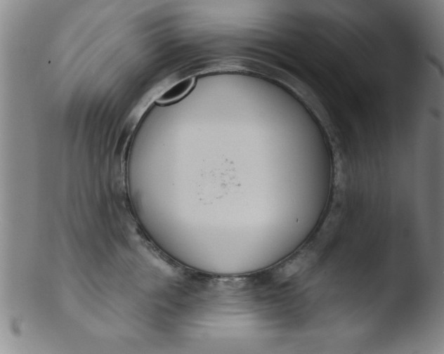 X0000103470858200809261903