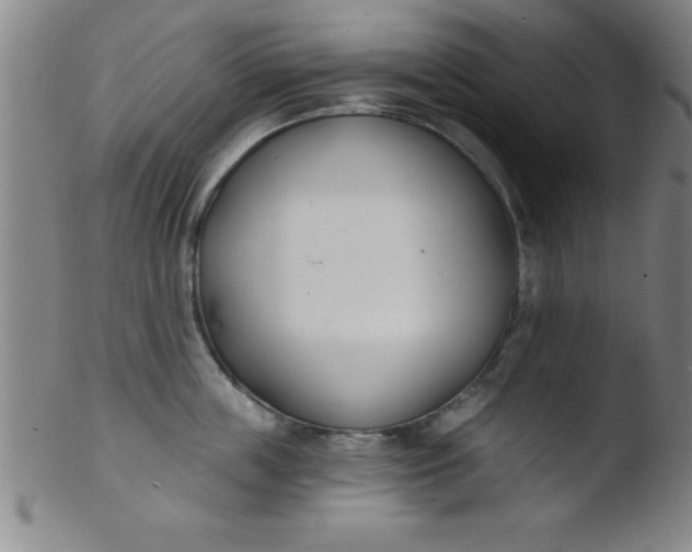 X0000103470859200809261903