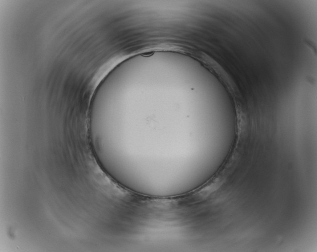 X0000103470860200809261903