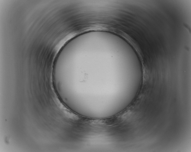 X0000103470861200809261903