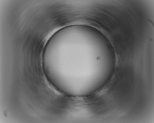 X0000103470862200809261903