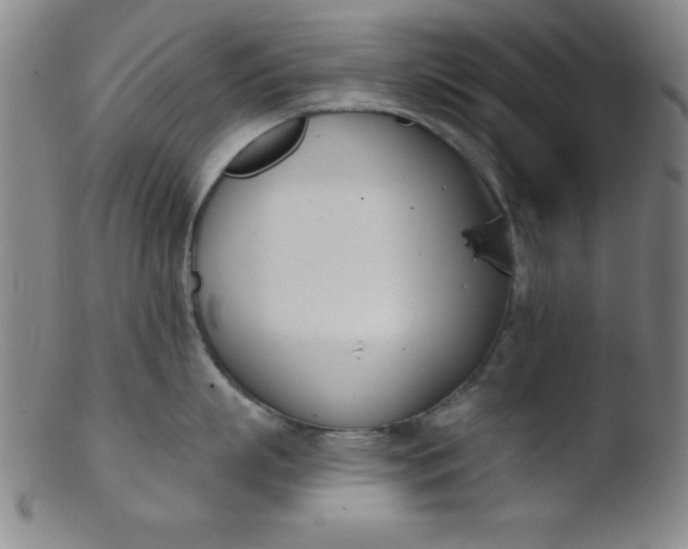 X0000103470863200809261903