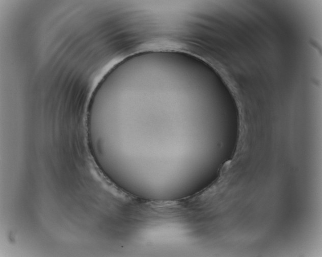 X0000103470864200809261903