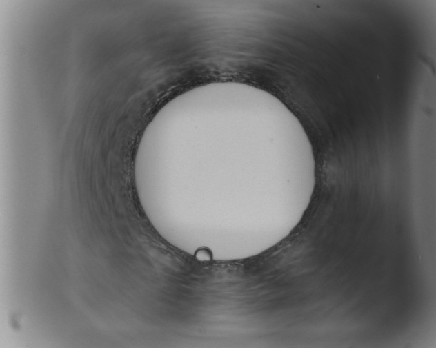 X0000103470865200809261902