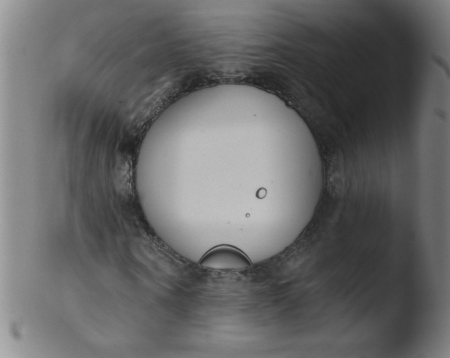 X0000103470866200809261902