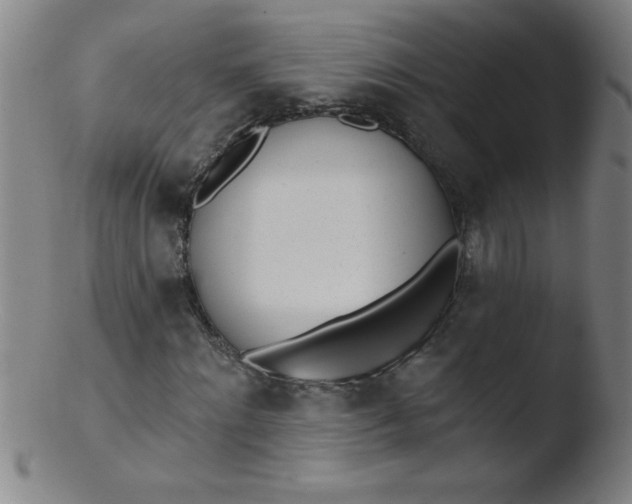 X0000103470868200809261902