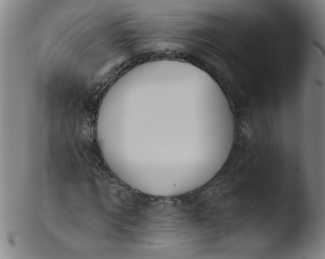 X0000103470869200809261902