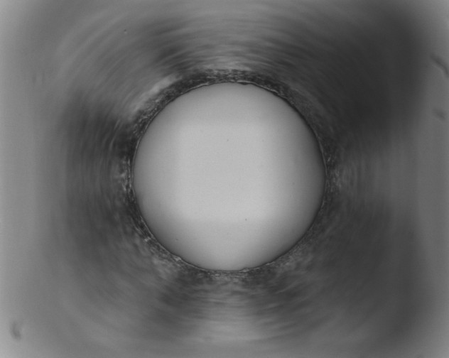 X0000103470870200809261902