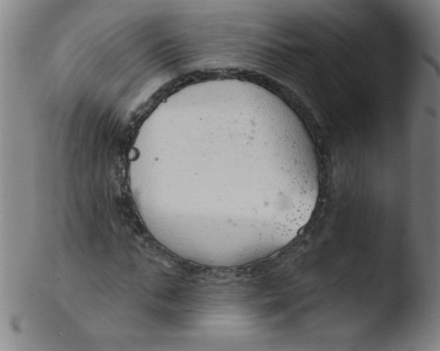 X0000103470871200809261902