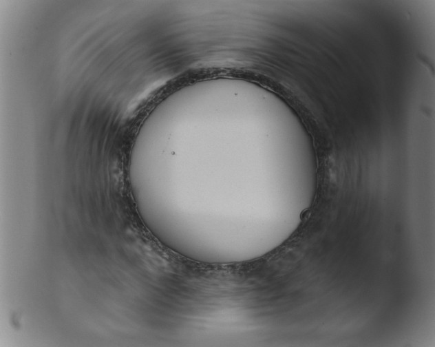 X0000103470872200809261902