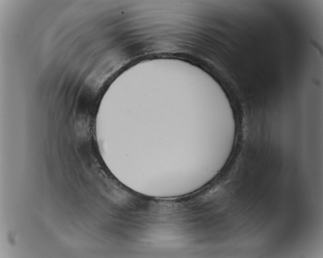 X0000103470873200809261902