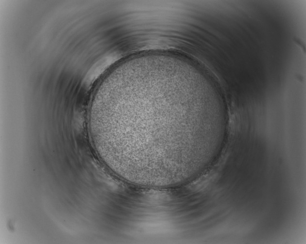 X0000103470874200809261902