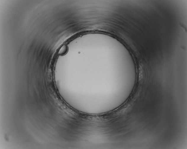 X0000103470876200809261902