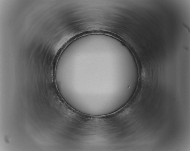 X0000103470877200809261902