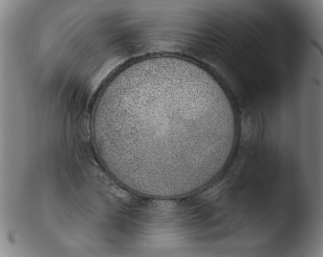 X0000103470878200809261902