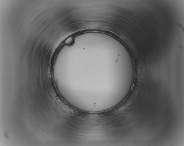 X0000103470880200809261902