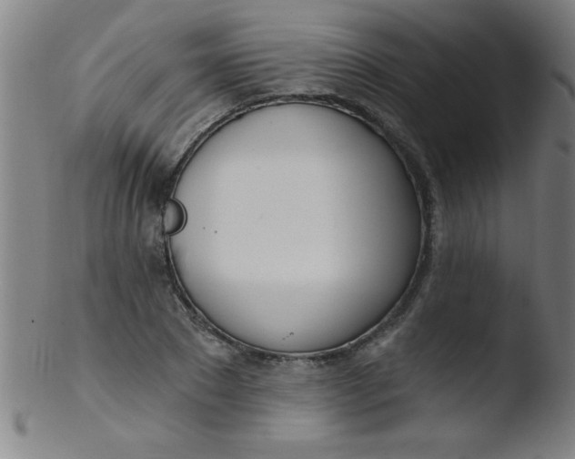 X0000103470881200809261902