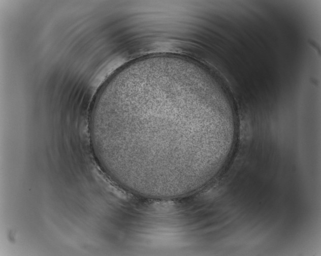 X0000103470882200809261902