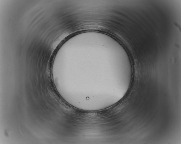 X0000103470883200809261902