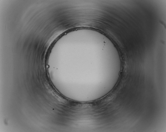 X0000103470884200809261902