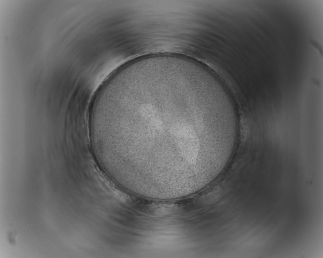 X0000103470886200809261902