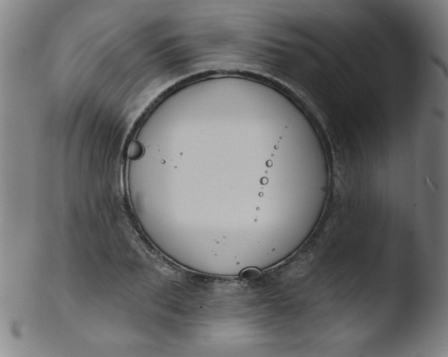 X0000103470887200809261902