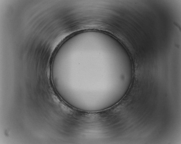 X0000103470888200809261902