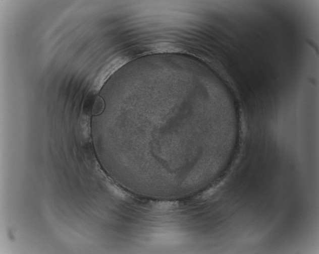 X0000103470889200809261902