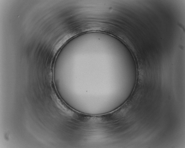 X0000103470890200809261902