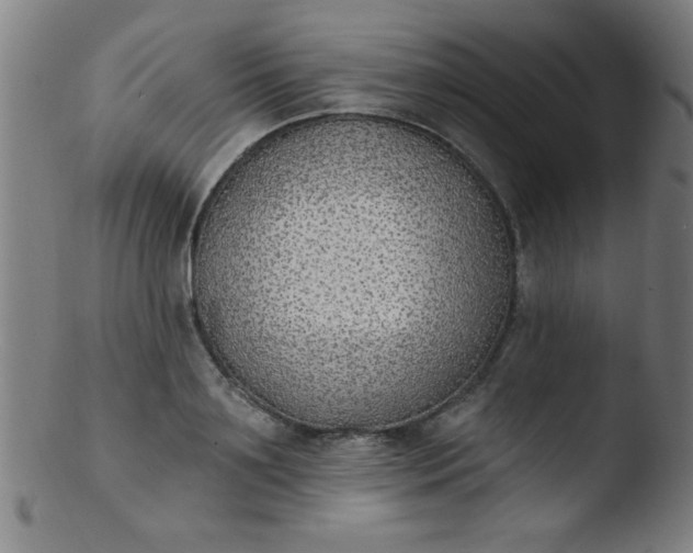 X0000103470891200809261902