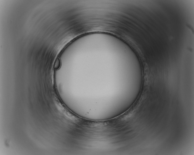 X0000103470892200809261902