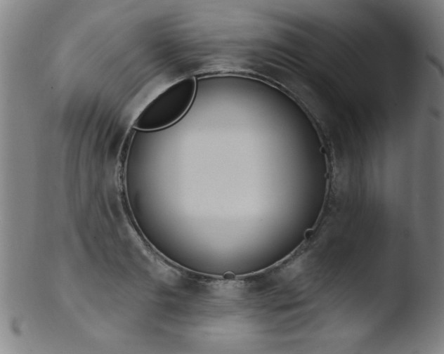 X0000103470893200809261902