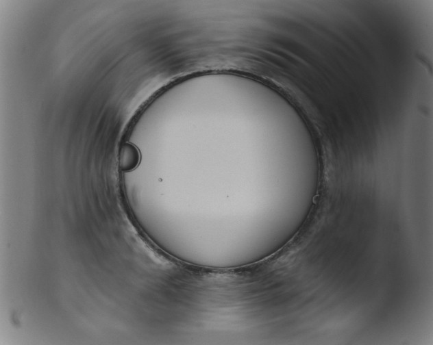 X0000103470894200809261902