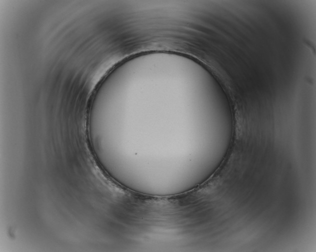 X0000103470896200809261901