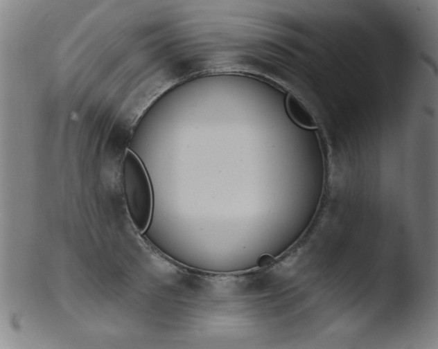 X0000103470897200809261901