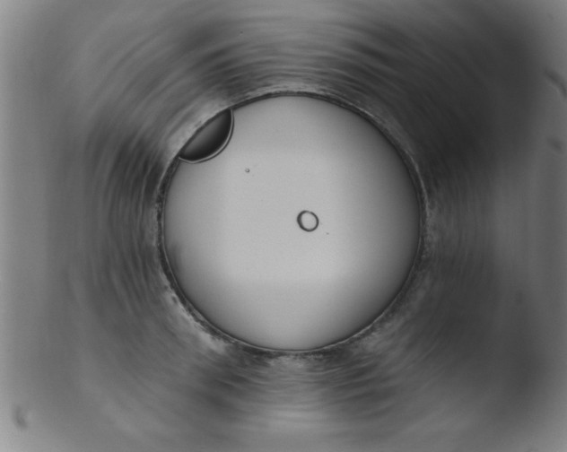 X0000103470898200809261901