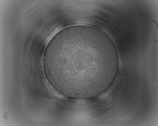 X0000103470899200809261901