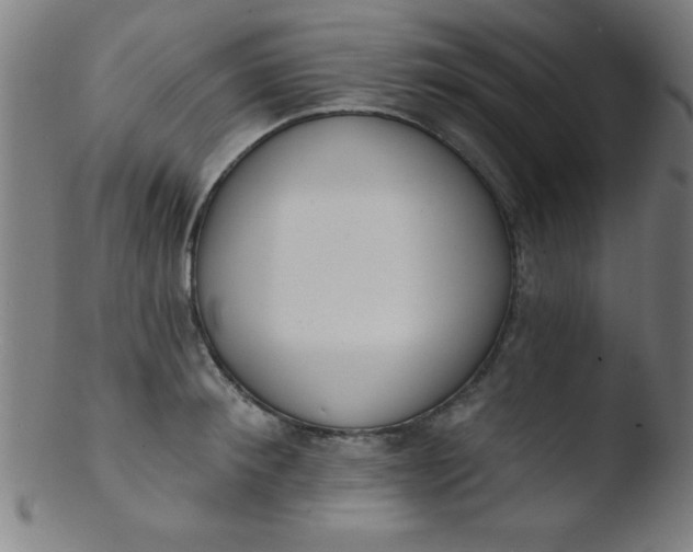 X0000103470900200809261901