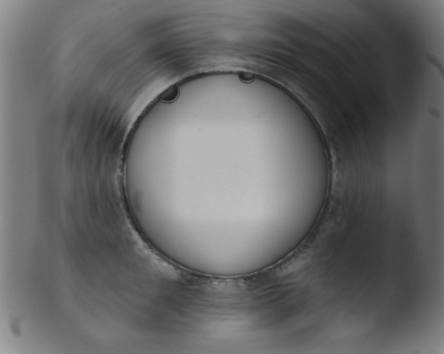 X0000103470901200809261901