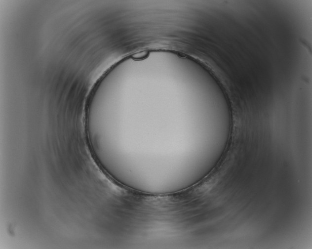 X0000103470902200809261901