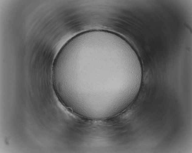 X0000103470903200809261901