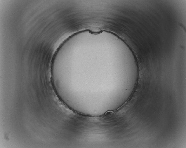 X0000103470904200809261901