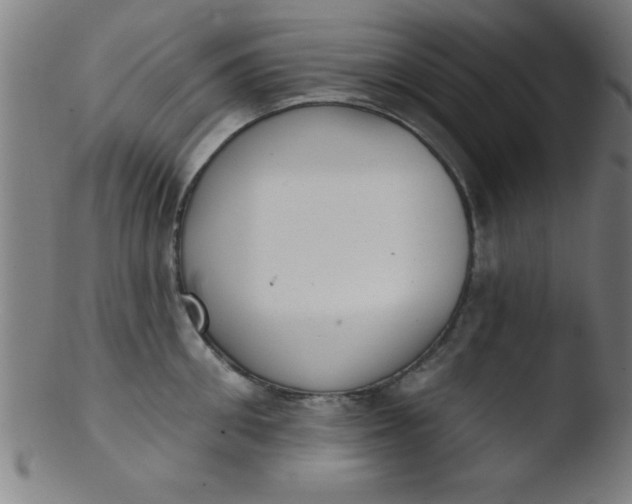 X0000103470906200809261901