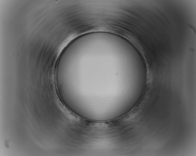 X0000103470907200809261901