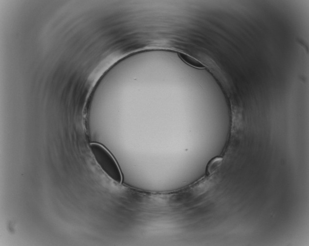 X0000103470908200809261901