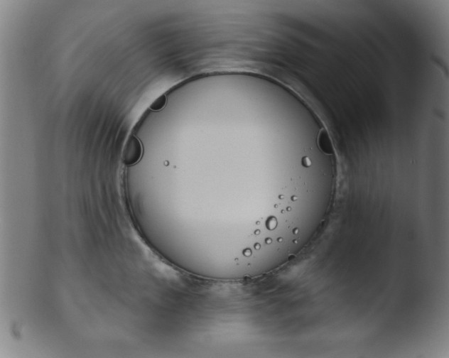 X0000103470909200809261901