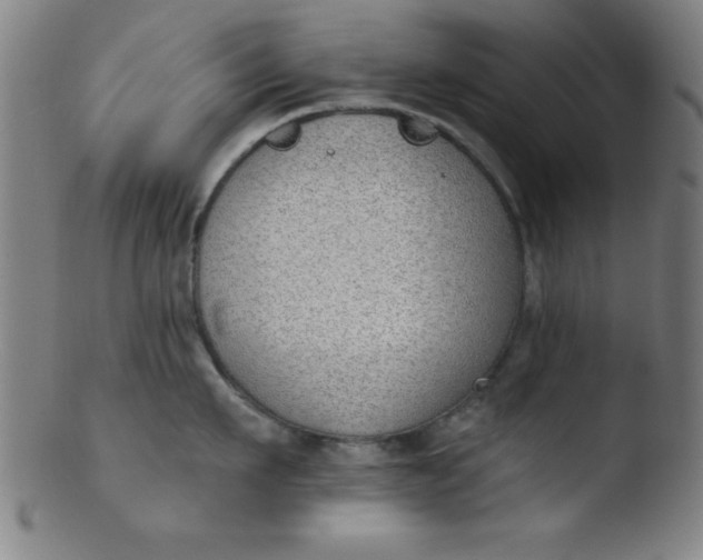 X0000103470911200809261901