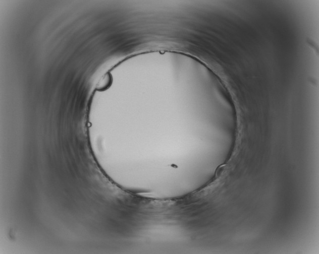 X0000103470912200809261901