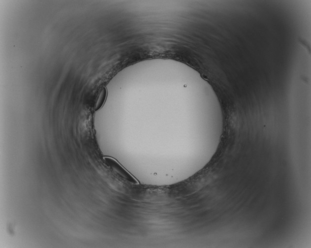 X0000103470914200809261901